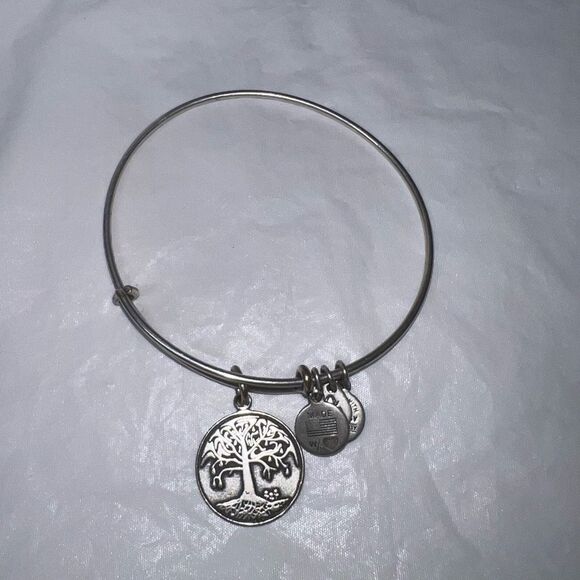 Alex‎ And Ani Boston Tree Of Life Bracelet With Charm Rafaelian Silver - Picture 3 of 6
